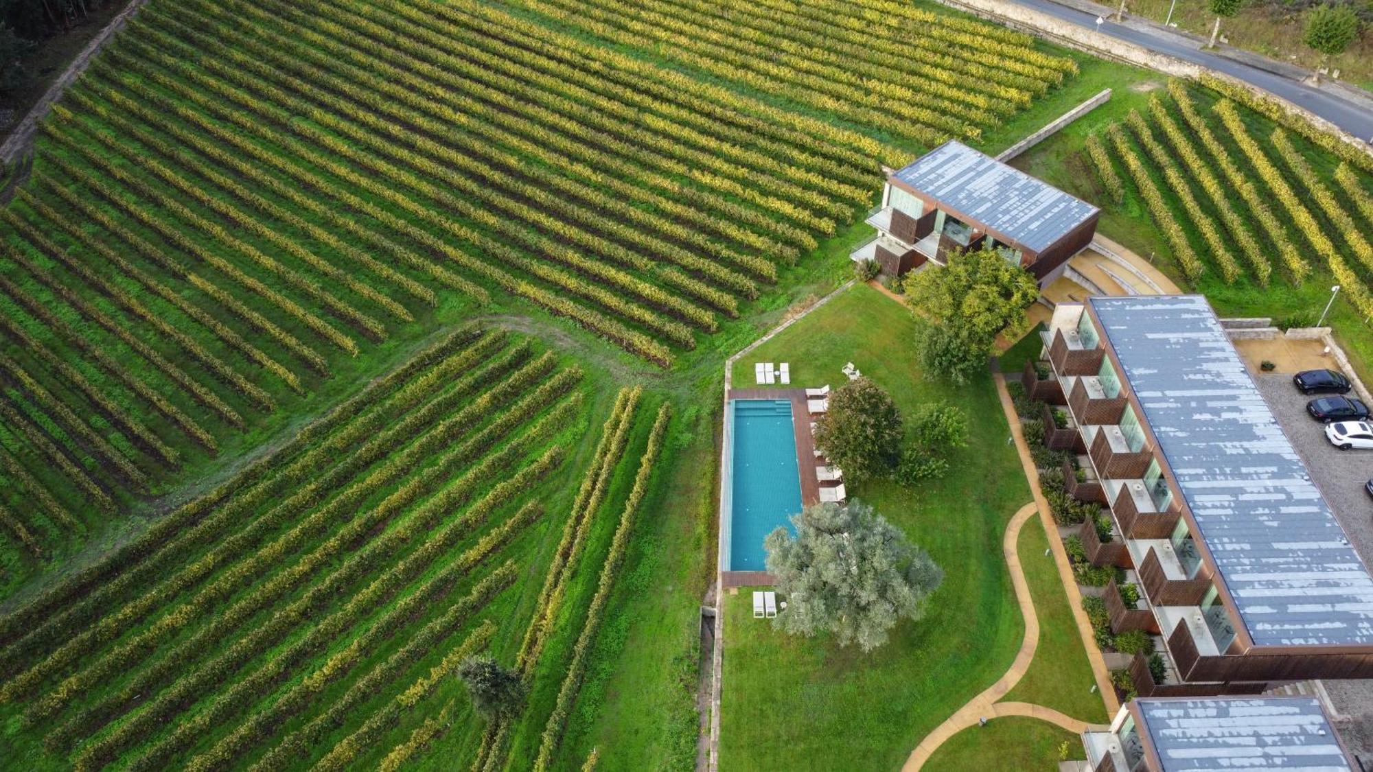 Torre De Gomariz Wine & Spa Hotel Cervaes Экстерьер фото
